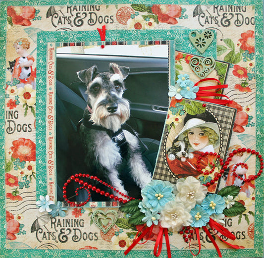 It's Raining Cats and Dogs - double page - Paper Roses Scrapbooking